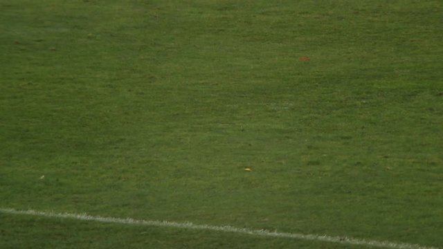 Professional soccer player kicking ball to score goal, referee watching game