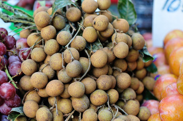 fruits market in malaysia