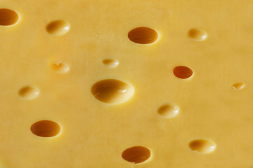 cheese