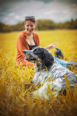 A dog, an english setter breed, sitting next to its owner in a tall beautiful grass on a gorgeous...