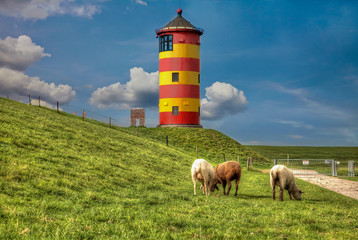 Sheep in front of the Pilsum lighthouse on the North Sea coast of Germany.