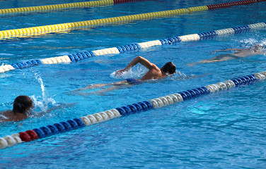 Swimmer in the swimming pool