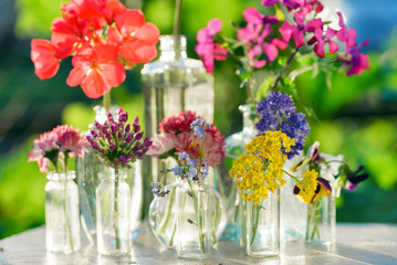 Obraz premium summer flowers