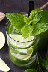 Mojito cocktail with lime and mint in highball glass on a grey s