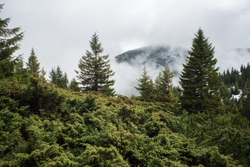 Natural landscape. The mountains and trails. Fog and rain in the mountains.