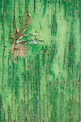 aged wooden plank with decayed green paint texture