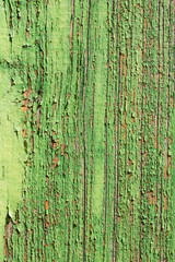 aged wooden plank with decayed green paint texture