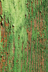 aged wooden plank with decayed green paint texture