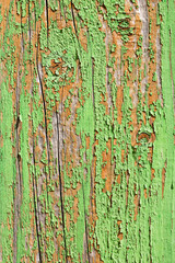 aged wooden plank with decayed green paint texture