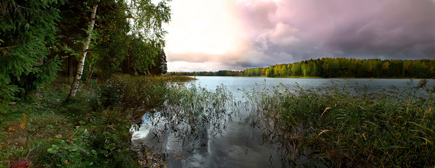 Autumn forest panorama on lake Seliger, Russia