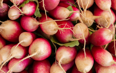 radishes