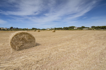 Campo di balle di fieno, Sicilia	