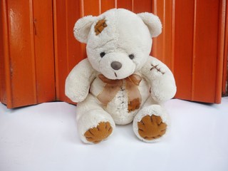 Teddy bear