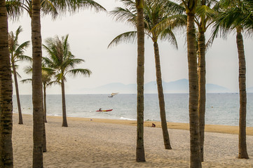 Tropical beach with palm tree's and golden sand in beautiful tropical Vietnam