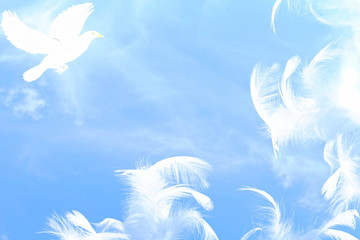 peaceful freedom or dream related concept background
