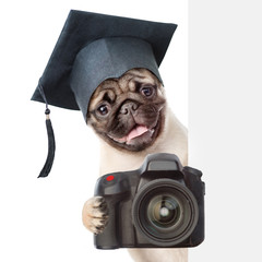 Dog photographer with black graduation hat peeking from behind empty board. isolated on white...