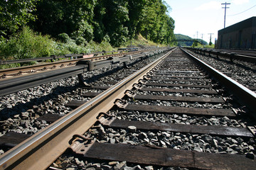 Fototapeta premium Railroad Track Dodging Trains
