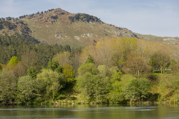 The holly pit in Cabarceno, Cantabria, Spain