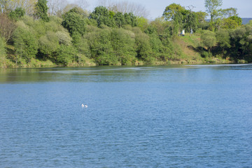 The holly pit in Cabarceno, Cantabria, Spain