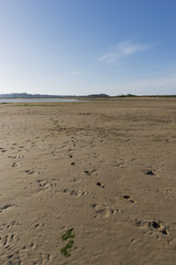 The coast of the city of Santander in Cantabria