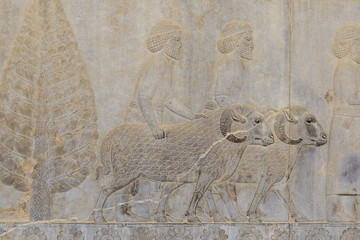 Persepolis or Takht-e Jamshid, 2500 years ago, Shiraz, Iran