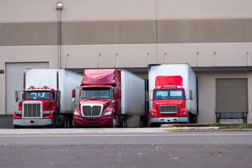 Three red semi trucks are among the dock for loading trailers - obrazy, fototapety, plakaty