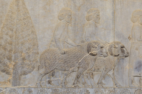 Persepolis or Takht-e Jamshid, 2500 years ago, Shiraz, Iran