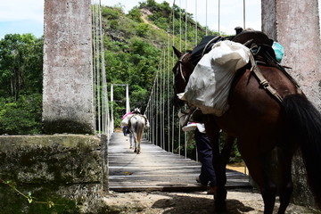 un puente en el campo 