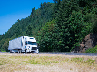 White modern semi truck reefer trailer on green summer highway