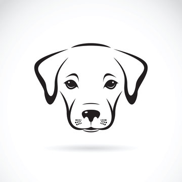 Vector of a labrador puppy face on white background. Dog. Pet
