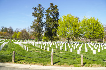 Fototapeta na wymiar Famous Arlington Cemetery in Washington - WASHINGTON, DISTRICT OF COLUMBIA - APRIL 8, 2017