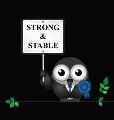 Conservative strong and stable political electioneering soundbite