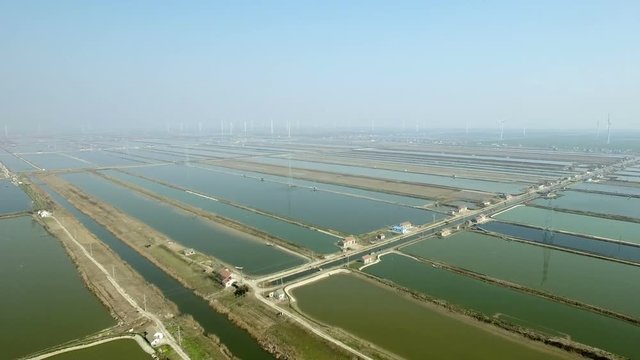 Aerial of the big fish pond