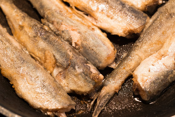 Small Wield Fish fried in pan on electric stove