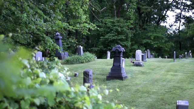 Camera pans to reveal moody evil graveyard nestled in a gloomy forest