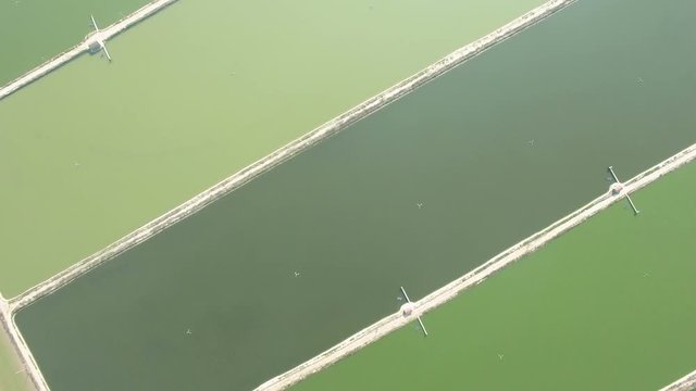 Aerial of the big fish pond
