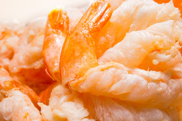 Frozen shrimp seafood closeup image