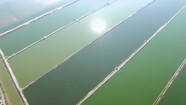 Aerial of the big fish pond