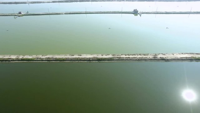 Aerial of the big fish pond