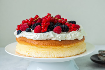 Close up of fluffy Japanese cotton cheesecake with wipped cream cheese frosting and garnished with forest berries served on a plate over white background.