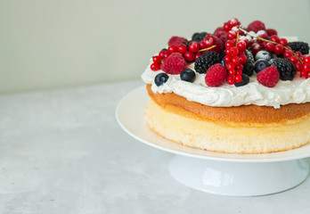 Close up of fluffy Japanese cotton cheesecake with wipped cream cheese frosting and garnished with forest berries served on a plate over white background.