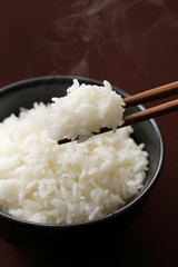 ごはん　Japanese rice