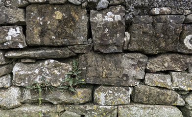 STONE WALL