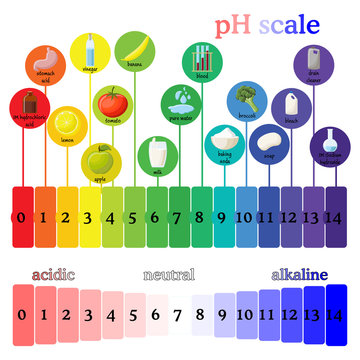 PH Scale.  Litmus Paper Color Chart.