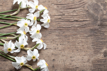 narcissus on wooden background