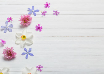 Naklejka na ściany i meble spring flowers on white wooden background