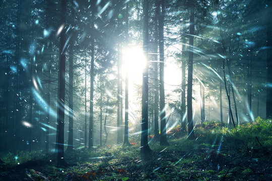 Fototapeta Fantasy blue green foggy forest fairytale with circle fireflies bokeh background. Color filter effect used.