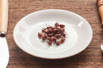 subterranean ants roast is clean food in local cuisine of Thai, Northern style food, Lanna style food