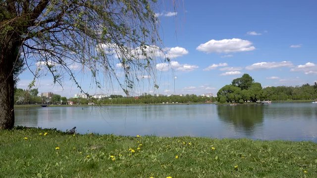 Beautiful pond in the park. Sredniy Tsaritsynskiy prud. Tsaritsyno Park, Moscow, Russia. 4k real time video
