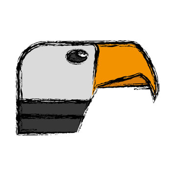 hawk icon over white background. vector illustration